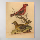 rode gele afdrukken poster (Voorkant)