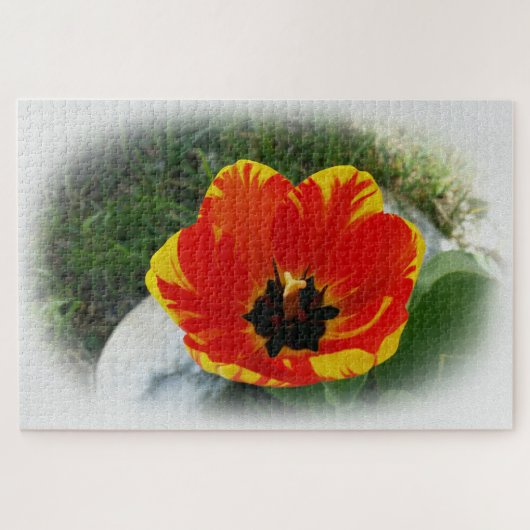 Rode gele buis legpuzzel (Horizontaal)