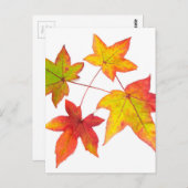 Rode gele en groene herfstbladeren briefkaart (Voorkant / Achterkant)