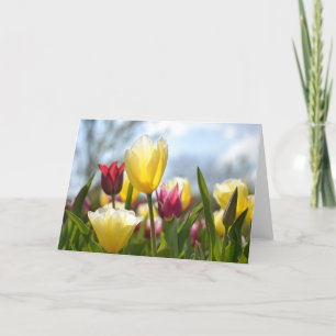 Rode, gele en roze Tulpen in de zon Feestdagen Kaart