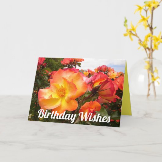 Rode Gele Oranje Rozen Rozen Bloemen Verjaardenkaa Kaart (Gele Bloem)