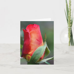 Rode Gele Roosknop Bloem Fotografie Notitie Kaart