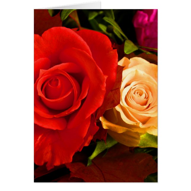 Rode Gele Rose (Voorkant)