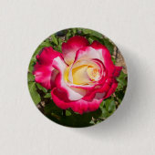 Rode & Gele Rose Button (Voorkant)
