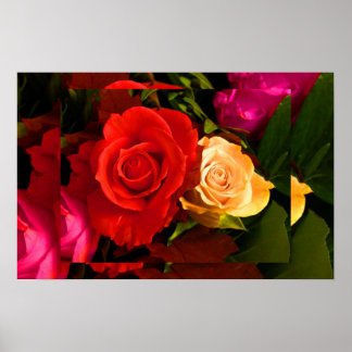 Rode Gele Rose II Poster