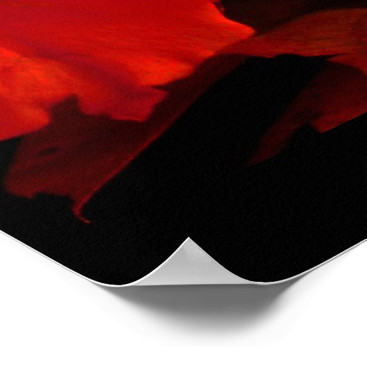 Rode Gele Rose III Poster (Hoek)