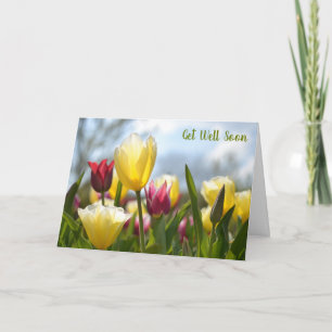 Rode, gele & roze tulpen in de zon Get Well Soon Kaart