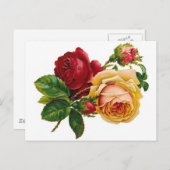Rode & Gele Rozen Briefkaart (Voorkant / Achterkant)
