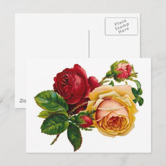 Rode & Gele Rozen Briefkaart (Voorkant / Achterkant)