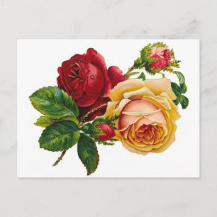 Rode & Gele Rozen Briefkaart