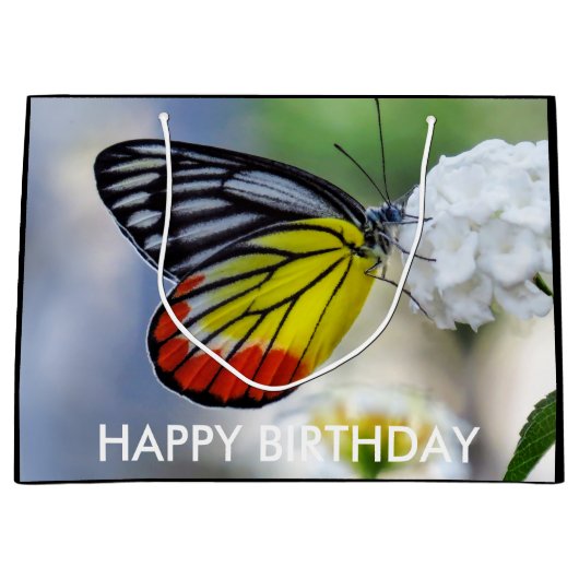 Rode gele vlinder Gedekte Jezebel Groot Cadeauzakje (Voorkant)