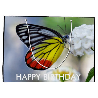 Rode gele vlinder Gedekte Jezebel Groot Cadeauzakje