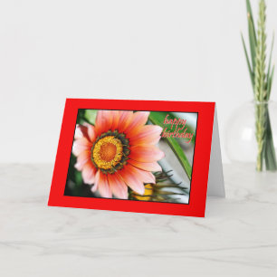 Rode Gelukkige Verjaardag Gazania Kaart