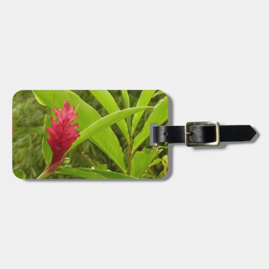 Rode gember bloem (Alpinia) tropisch Bagagelabel (Voorkant horizontaal)