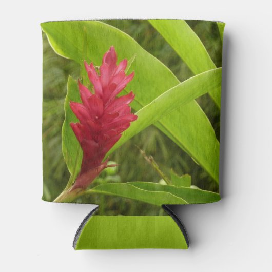 Rode gember bloem (Alpinia) tropisch Blikjeskoeler (Voorkant)