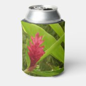 Rode gember bloem (Alpinia) tropisch Blikjeskoeler (Blikje Achterkant)