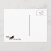 Rode gember bloem (Alpinia) tropisch Briefkaart (Achterkant)