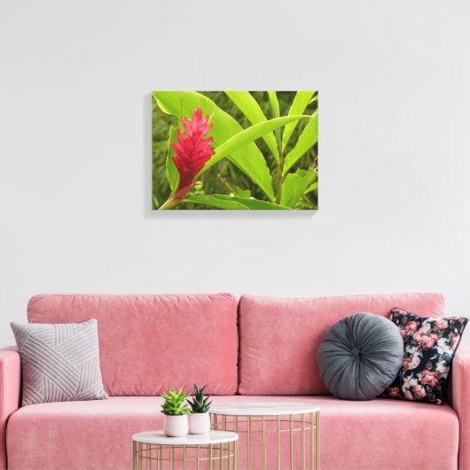 Rode gember bloem (Alpinia) tropisch Canvas Afdruk (Insitu (Woonkamer))