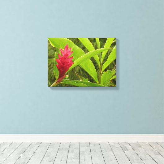 Rode gember bloem (Alpinia) tropisch Canvas Afdruk (Insitu (Houten vloer))