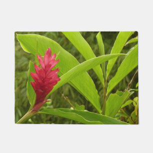 Rode gember bloem (Alpinia) tropisch Deurmat