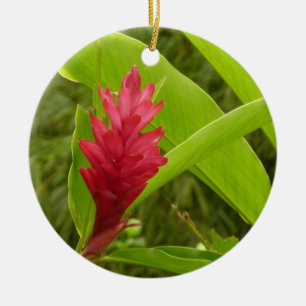 Rode gember bloem (Alpinia) tropisch Keramisch Ornament