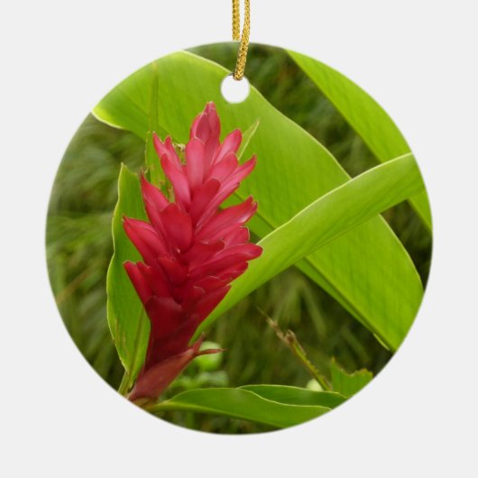 Rode gember bloem (Alpinia) tropisch Keramisch Ornament (Voorkant)