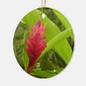 Rode gember bloem (Alpinia) tropisch Keramisch Ornament (Links)