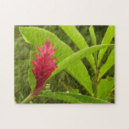 Rode gember bloem (Alpinia) tropisch Legpuzzel