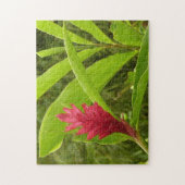 Rode gember bloem (Alpinia) tropisch Legpuzzel (Verticaal)