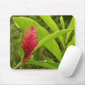Rode gember bloem (Alpinia) tropisch Muismat (Met muis)
