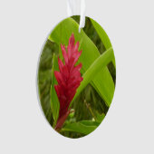 Rode gember bloem (Alpinia) tropisch Ornament (voorkant)