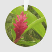 Rode gember bloem (Alpinia) tropisch Ornament (voorkant)