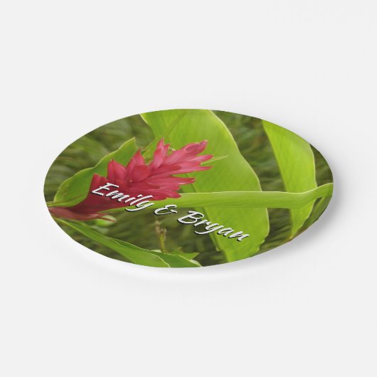 Rode gember bloem (Alpinia) tropisch Papieren Bordje (Gekanteld)