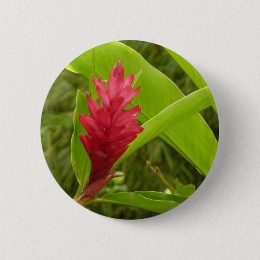 Rode gember bloem (Alpinia) tropisch Ronde Button 5,7 Cm (Voorkant)
