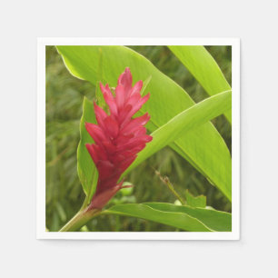 Rode gember bloem (Alpinia) tropisch Servet
