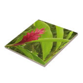 Rode gember bloem (Alpinia) tropisch Tegeltje (Zijkant)