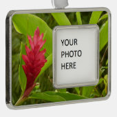 Rode gember bloem (Alpinia) tropisch Verzilverd Omlijst Ornament (Rechts)