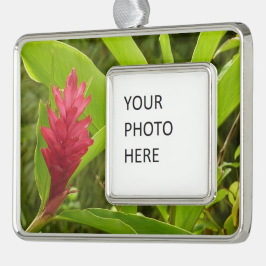 Rode gember bloem (Alpinia) tropisch Verzilverd Omlijst Ornament (Links)