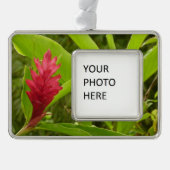 Rode gember bloem (Alpinia) tropisch Verzilverd Omlijst Ornament (Voorkant)
