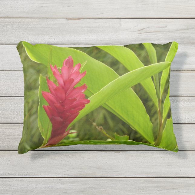 Rode gemberbloem (Alpinia) Tropisch Buitenkussen (Voorkant)