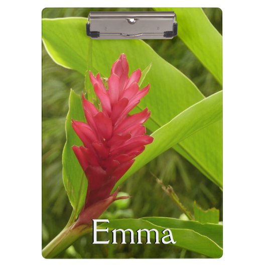 Rode gemberbloem (Alpinia) Tropisch Klembord (Voorkant)