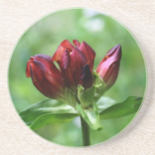 Rode Gentian Floral Onderzetter (Voorkant)