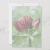 Rode Gentian Flower Party Kaart (Achterkant)