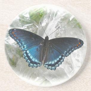 Rode gepotte Paarse vlinder Zandsteen Onderzetter