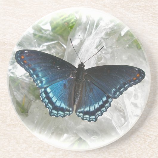 Rode gepotte Paarse vlinder Zandsteen Onderzetter (Voorkant)