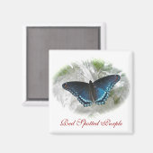 Rode gepotte Paarse vlindermagneet Magneet (Voorkant / Achterkant)