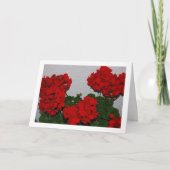 Rode Geranium bloemen, bloemportret Kaart (Voorkant)