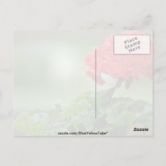 Rode Geranium bloesbloblobloblobloemen Briefkaart (Achterkant)