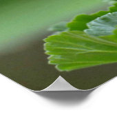 Rode Geranium bloesbloblobloblobloemen Poster (Hoek)