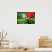 Rode Geranium bloesbloblobloblobloemen Poster (Keuken)